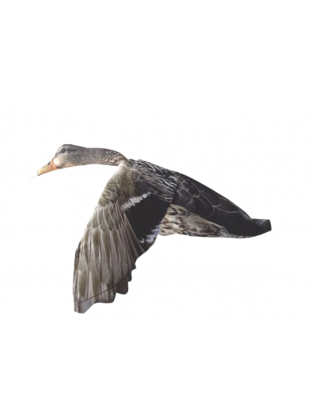 Чучело серой утки летящее  - флюгер